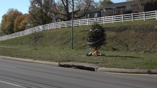 Mystery Christmas tree solved